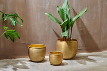 Load image into Gallery viewer, Tembesi Etched Planter - Antique Brass
